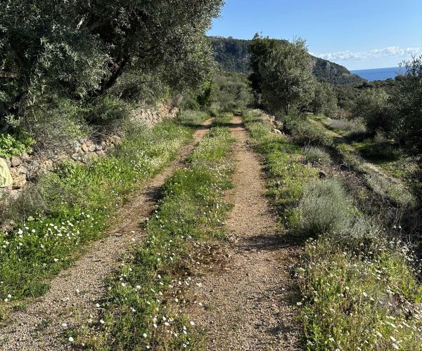 Image No.17-Plot for sale