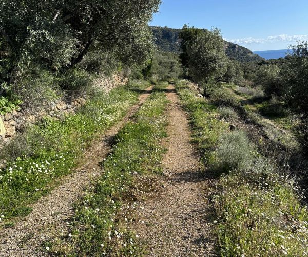 Image No.18-Plot for sale