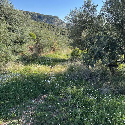 Image No.2-Plot for sale