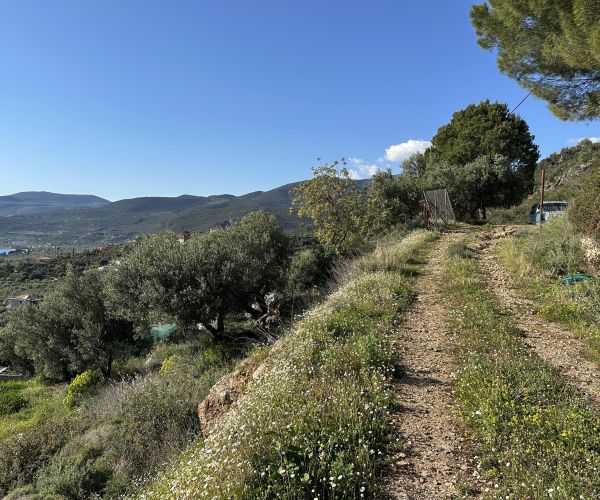 Image No.20-Plot for sale