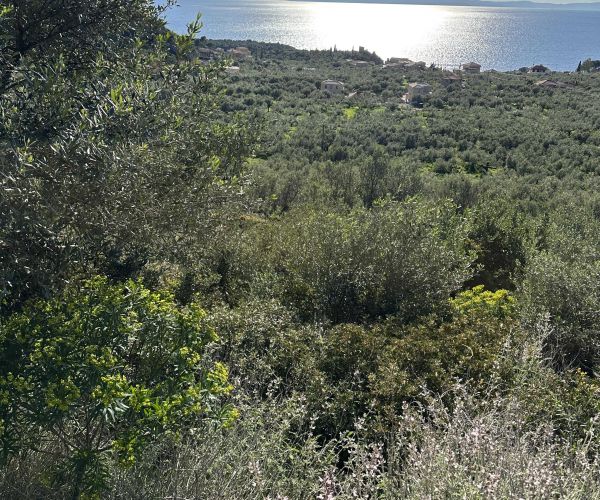 Image No.6-Plot for sale