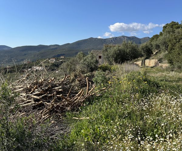 Image No.8-Plot for sale