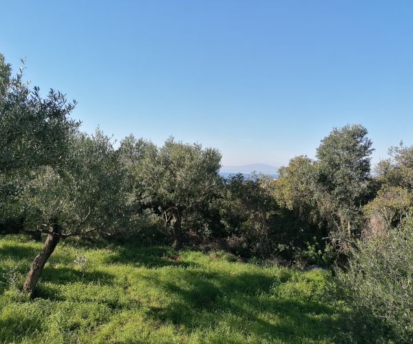 Image No.10-Plot for sale