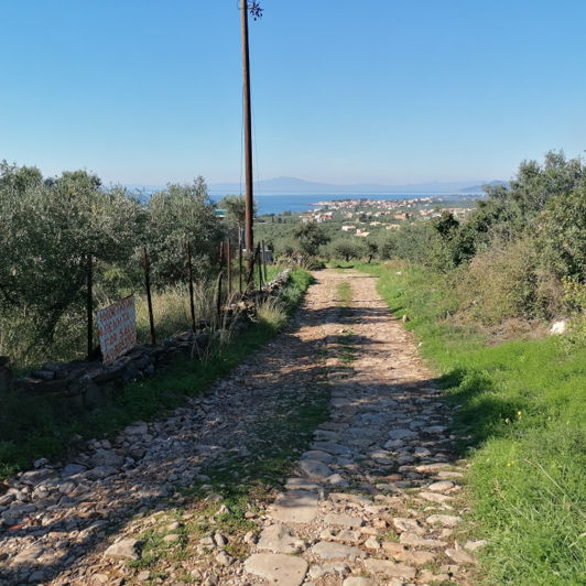 Image No.2-Plot for sale