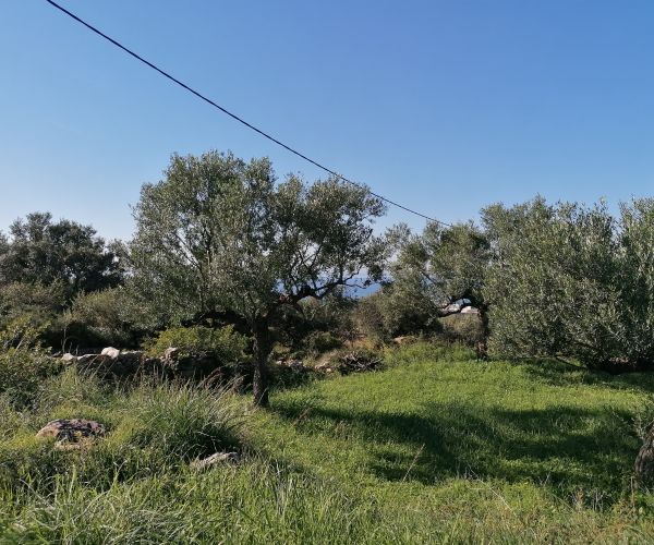 Image No.4-Plot for sale