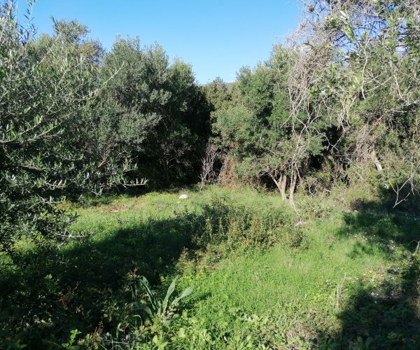 Image No.7-Plot for sale