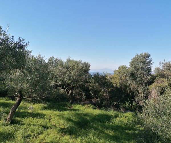 Image No.9-Plot for sale