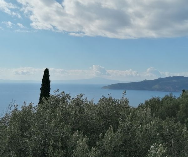 Image No.23-Maison de 2 chambres à vendre à Kardamyli