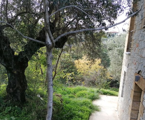 Image No.10-Maison de 3 chambres à vendre à Kardamyli