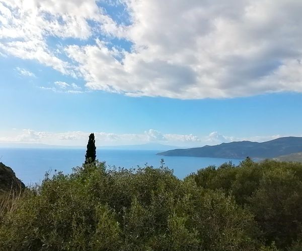 Image No.34-Maison de 3 chambres à vendre à Kardamyli