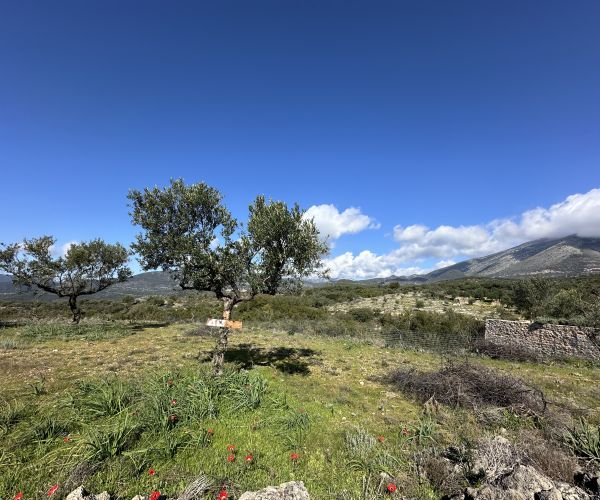 Image No.10-Plot for sale