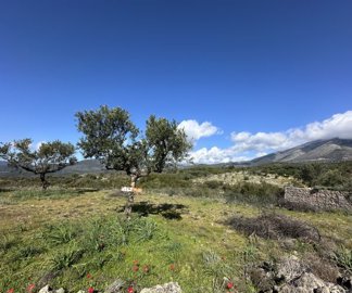 e24fb755-6d17-45f7-8a15-833dca317f71