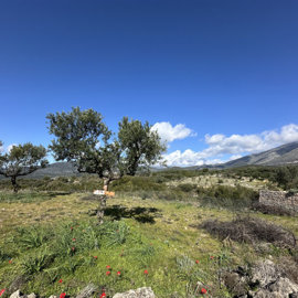 e24fb755-6d17-45f7-8a15-833dca317f71