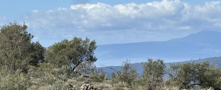 Image No.3-Plot for sale