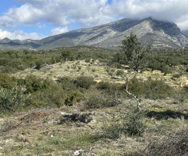 Image No.4-Plot for sale