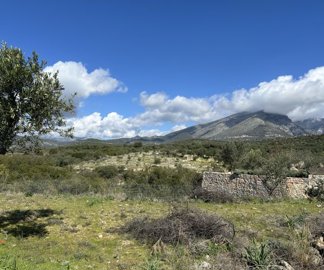 94a8190b-faa0-4e56-af52-a4335a83c206