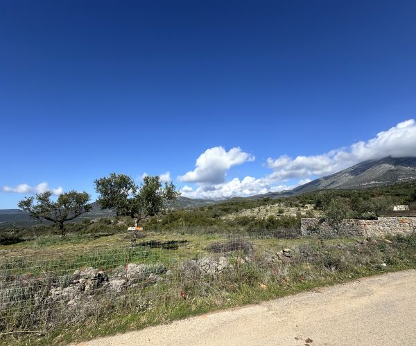 Image No.7-Plot for sale