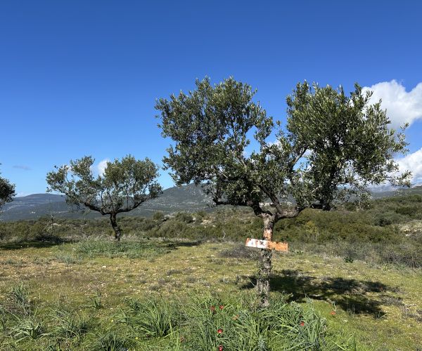 Image No.9-Plot for sale