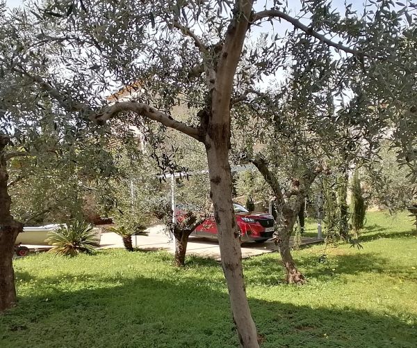 Image No.45-Maison de 3 chambres à vendre à Agios Nikolaos