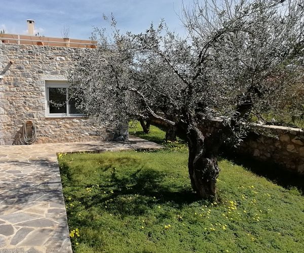 Image No.8-Maison de 3 chambres à vendre à Agios Nikolaos