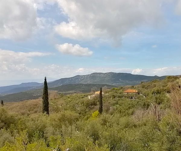 Image No.22-2 Bed House for sale