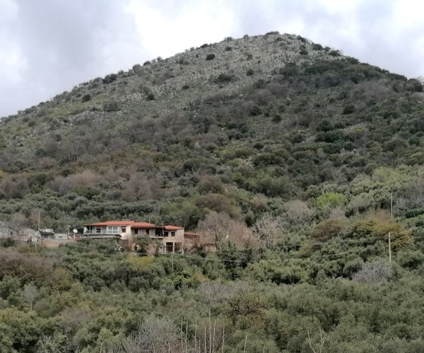 Image No.24-2 Bed House for sale