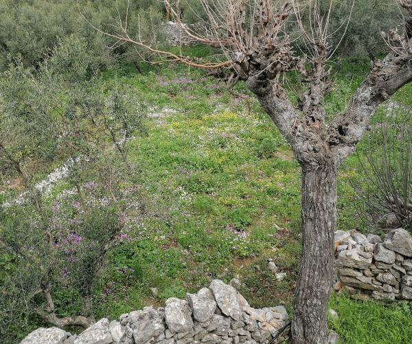 Image No.25-2 Bed House for sale