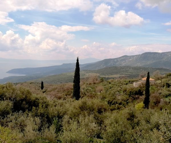 Image No.28-2 Bed House for sale