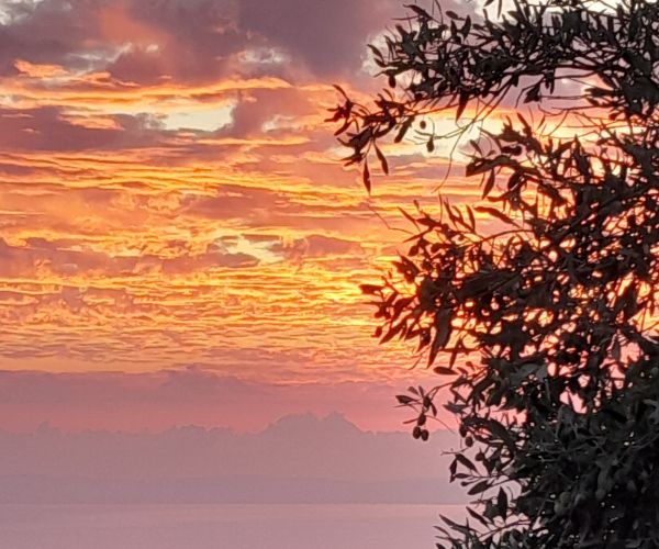 Image No.29-2 Bed House for sale