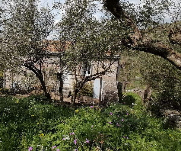 Image No.7-2 Bed House for sale