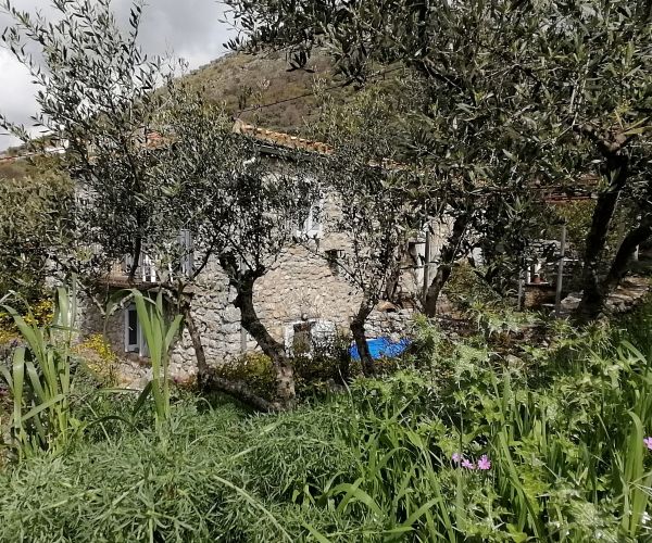 Image No.8-2 Bed House for sale