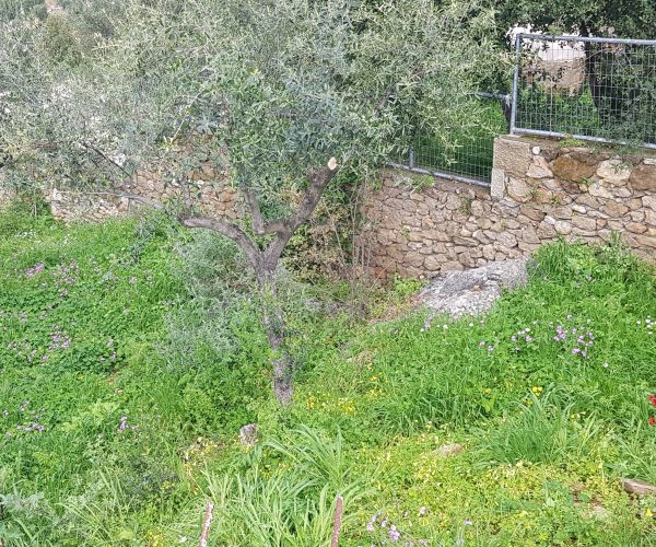 Image No.5-Plot for sale