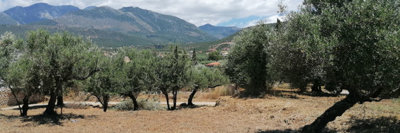 img20260605130803