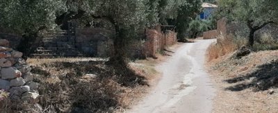 img20260605130701