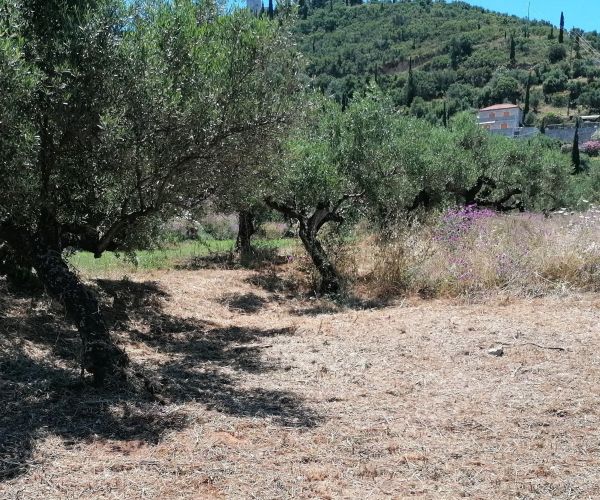 Image No.5-Plot for sale