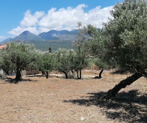 Image No.6-Plot for sale