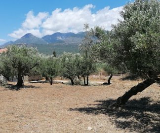 img20260605130754