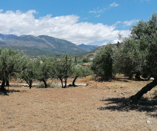 Image No.7-Plot for sale