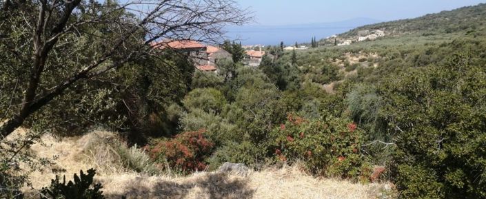 Image No.3-Plot for sale