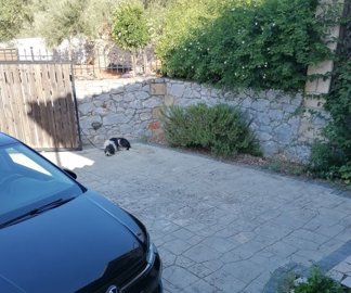 img20260924100233