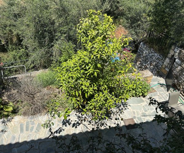 Image No.21-2 Bed House for sale