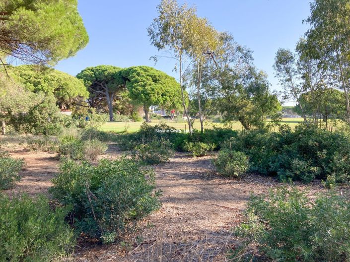 Image No.1-Land for sale