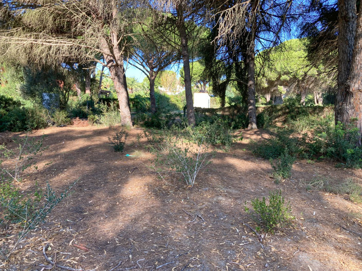 Image No.3-Land for sale