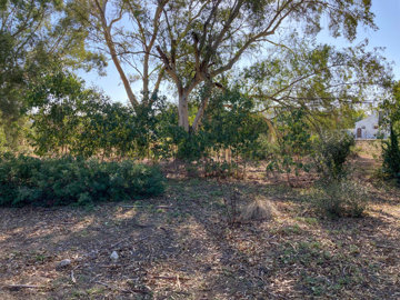 img7579
