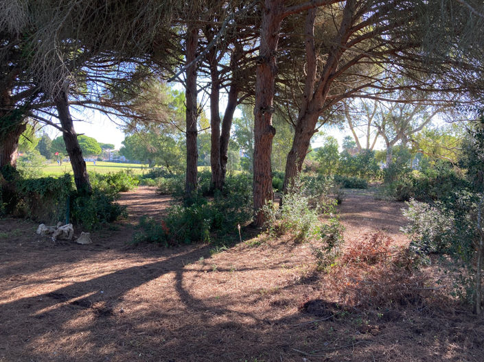 Image No.4-Land for sale