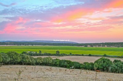 1 - Cadiz, Land