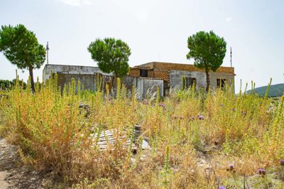 dsc0316
