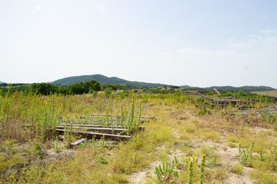 dsc0322