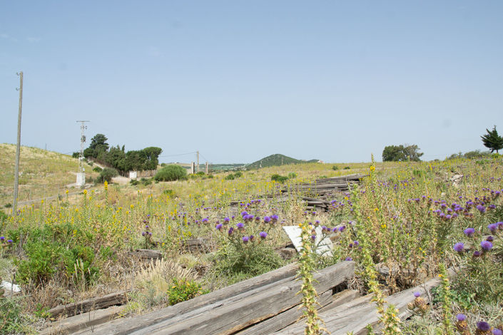 Image No.14-1 Bed Finca for sale