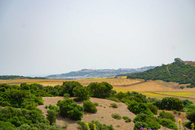 dsc0334